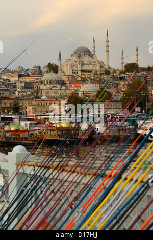 Cannes à pêche pour la vente sur le pont de Galata sur la Corne d'or avec la Mosquée Suleymaniye Istanbul Turquie Banque D'Images