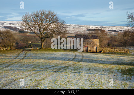 Barnes de Bainbridge à Eller Beck Winter Farmland paysage de décembre à Wensleydale, près de Bainbridge dans le North Yorkshire Dales, Royaume-Uni Banque D'Images