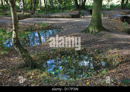 Des tranchées et des piscines dans les cratères de bombes à partir de la Première Guerre mondiale à la première ligne d'un Bois du Sanctuaire Museum Hill 62 à Zillebeke, Belgique Banque D'Images