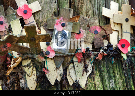 WW1-shell original arbre dynamité montrant photo de soldat parmi des croix à Sanctuary Wood Museum Hill 62 à Zillebeke, Belgique Banque D'Images