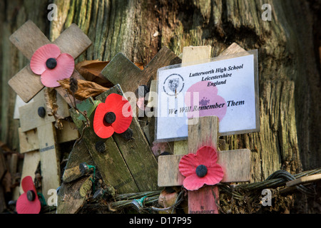 WW1-shell original arbre dynamité et traverse de coquelicots au Bois du Sanctuaire Museum Hill 62 à Zillebeke, Flandre occidentale, Belgique Banque D'Images