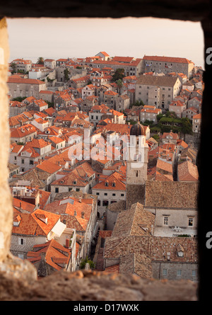 Vue depuis la Tour Minceta sur les toits de la vieille ville dans la ville de Dubrovnik, sur la côte Adriatique de Croatie. Banque D'Images