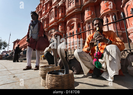 L'Inde. Le Rajasthan, Jaipur, charmeurs de faire deux cobras roi (Ophiophagus hannah) danser devant les vents Palace Banque D'Images