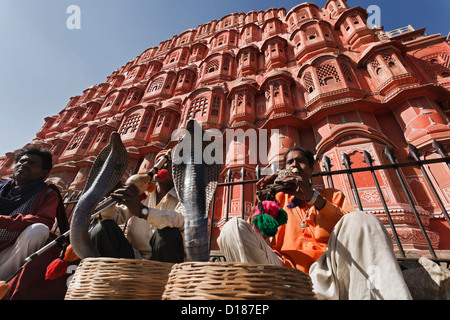 L'Inde. Le Rajasthan, Jaipur, charmeurs de faire deux cobras roi (Ophiophagus hannah) danser devant les vents Palace Banque D'Images