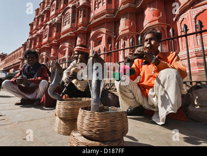 L'Inde. Le Rajasthan, Jaipur, charmeurs de faire deux cobras roi (Ophiophagus hannah) danser devant les vents Palace Banque D'Images