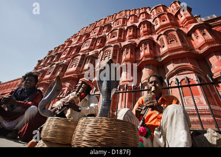 L'Inde. Le Rajasthan, Jaipur, charmeurs de faire deux cobras roi (Ophiophagus hannah) danser devant les vents Palace Banque D'Images