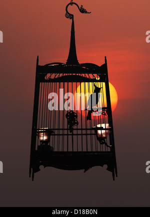 Dans une cage à oiseau de nuit, contre le soleil couchant Banque D'Images