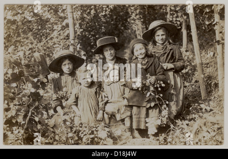 Carte postale édouardienne de hop pickers sur working holiday, probablement dans le Kent, U.K, vers 1910 Banque D'Images