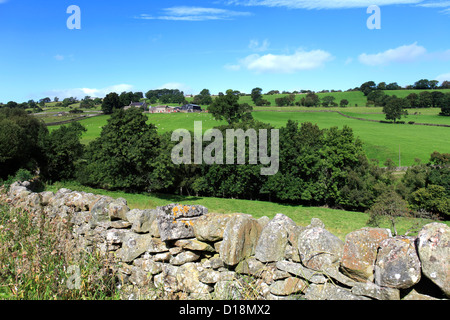 Paysage d'été vue sur Blackton Village, Upper Teesdale, comté de Durham, Angleterre, Grande-Bretagne, Royaume-Uni Banque D'Images