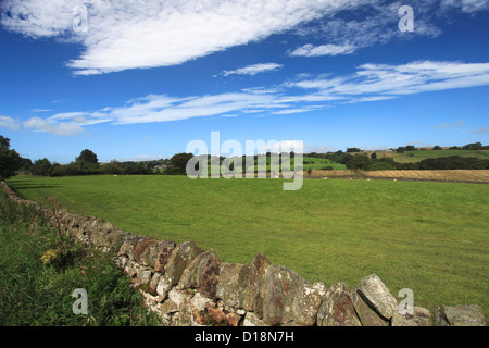 Paysage d'été vue sur Blackton Village, Upper Teesdale, comté de Durham, Angleterre, Grande-Bretagne, Royaume-Uni Banque D'Images