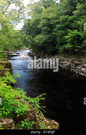 Image panoramique d'été, la Rivière Tees, Upper Teesdale, comté de Durham, Angleterre, Grande-Bretagne, Royaume-Uni Banque D'Images