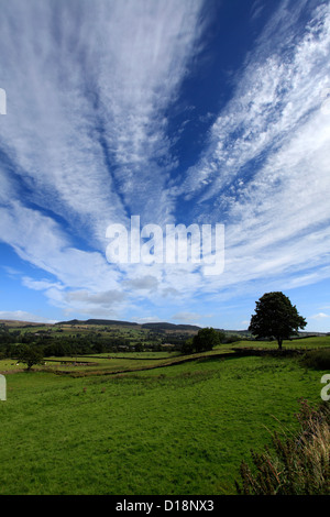 Paysage d'été vue sur Blackton Village, Upper Teesdale, comté de Durham, Angleterre, Grande-Bretagne, Royaume-Uni Banque D'Images