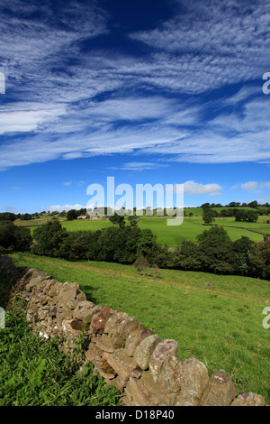 Paysage d'été vue sur Blackton Village, Upper Teesdale, comté de Durham, Angleterre, Grande-Bretagne, Royaume-Uni Banque D'Images