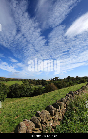 Paysage d'été vue sur Blackton Village, Upper Teesdale, comté de Durham, Angleterre, Grande-Bretagne, Royaume-Uni Banque D'Images