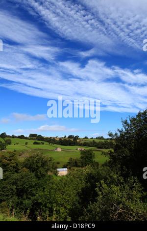 Paysage d'été vue sur Blackton Village, Upper Teesdale, comté de Durham, Angleterre, Grande-Bretagne, Royaume-Uni Banque D'Images