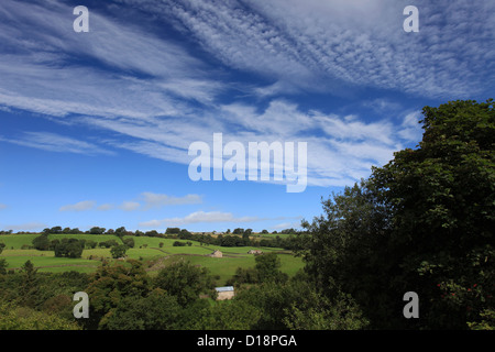 Paysage d'été vue sur Blackton Village, Upper Teesdale, comté de Durham, Angleterre, Grande-Bretagne, Royaume-Uni Banque D'Images