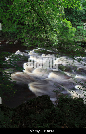 Image panoramique d'été, la Rivière Tees, Upper Teesdale, comté de Durham, Angleterre, Grande-Bretagne, Royaume-Uni Banque D'Images