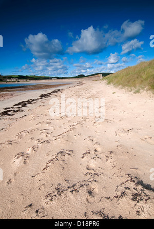 Plage de Longis sur Alderney, Channel Islands Banque D'Images