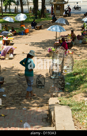 Les femmes vendre des oiseaux au Wat Phnom à Phnom Penh, Cambodge Banque D'Images