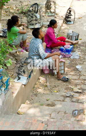 Les femmes vendre des oiseaux au Wat Phnom à Phnom Penh, Cambodge Banque D'Images