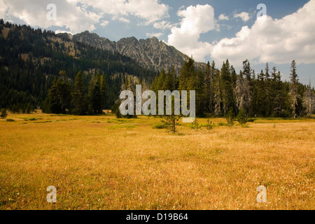 OREGON - Meadows le long de la fourche de la Wallowa River dans la région sauvage du Cap de l'Aigle les montagnes Wallowa. Banque D'Images