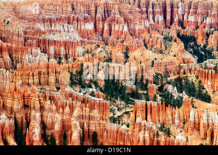 Un amphithéâtre de nombreuses cheminées composent la ville silencieuse de Inspiration Point dans l'Utah, le Parc National de Bryce Canyon. Banque D'Images