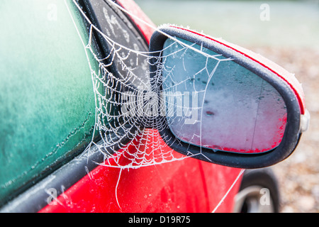 Frost couverts d'araignée sur une voiture rouge wing mirror Banque D'Images