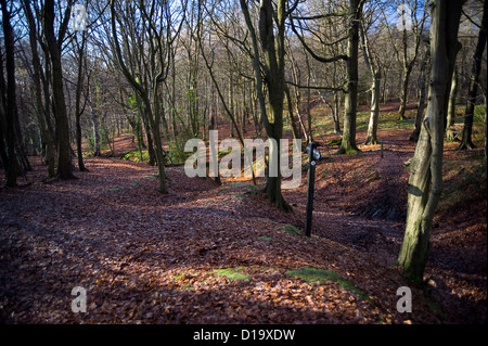 Grim's fossé sur le sentier national Ridgeway près de Wendover Woods, España Banque D'Images