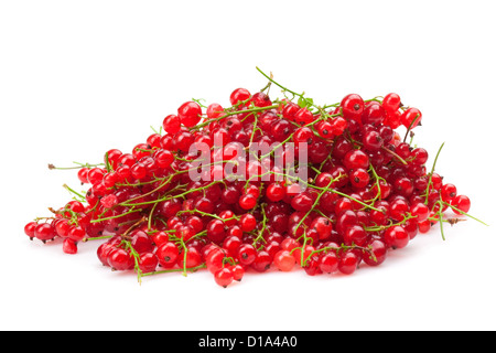 Groseille rouge sur fond blanc Banque D'Images