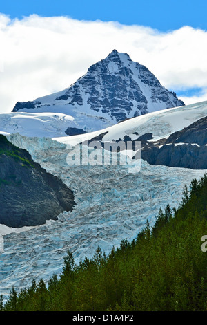 Le Bear Glacier et montagnes enneigées. Banque D'Images