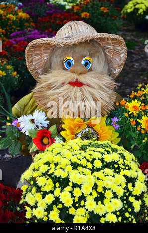 Brownie se trouve entouré par des bouquets de chrysanthèmes Banque D'Images