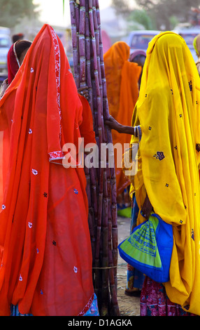 Les femmes indiennes portant robe colorée et debout à Pushkar foire Banque D'Images