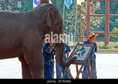 Peinture à l'éléphant Lampang centre de conservation, Thaïlande Banque D'Images