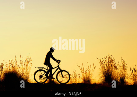 Indian boy riding bicycle parmi les graminées au coucher du soleil. Silhouette. L'Inde Banque D'Images