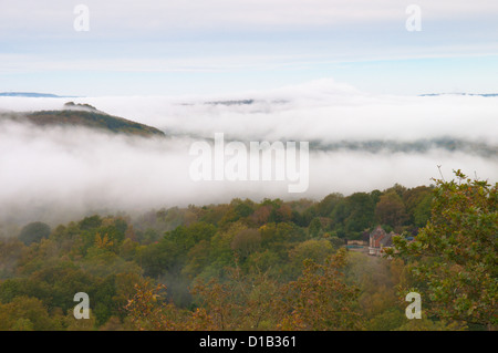 Vue nord-ouest à travers Redford et Milland à côté de l'ancienne colline sur Woolbeding commun, West Sussex, UK. Octobre. Mist Banque D'Images