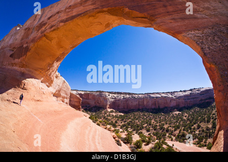 Moab Utah USA - randonneur touristique solitaire à Wilson Arch, près de Moab, Utah, USA États-Unis d'Amérique, Amérique du Nord Banque D'Images