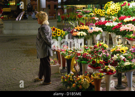 Wroclaw, Pologne, au marché aux fleurs sur le Blumenverkaeuferin Solnyplatz Banque D'Images