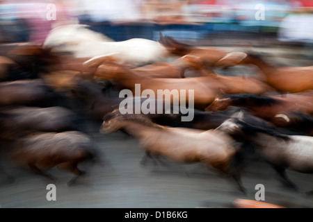 Almonte, Espagne, Saca de las yeguas - chevaux sont entraînés à travers la ville Banque D'Images