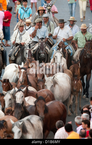 Almonte, Espagne, Saca de las yeguas - riders conduire un troupeau à travers la ville Banque D'Images