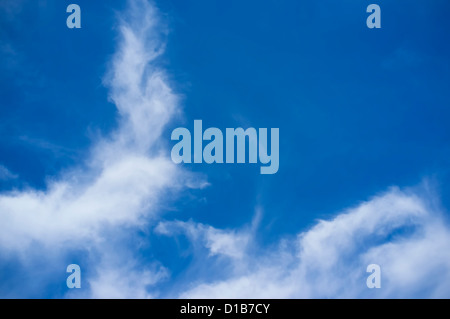 Ciel bleu avec des nuages de plumes Banque D'Images