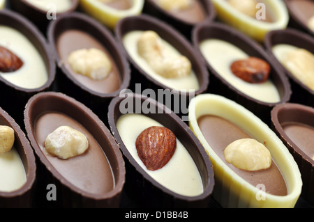 Assortiment de bonbons de chocolat avec des noix, closeup Banque D'Images