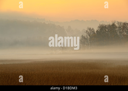 Brume matinale sur la rivière Vermilion, Grand Sudbury, Ontario, Canada Banque D'Images