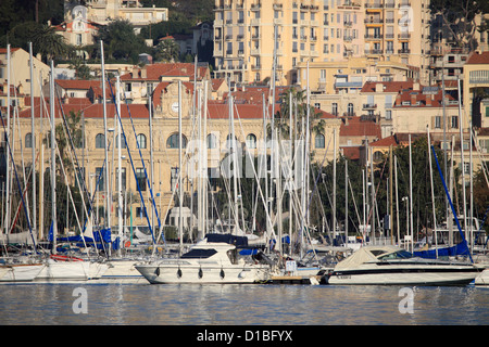 Le port de Cannes sur la côte d'Azur Banque D'Images