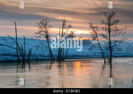 Stark arbres sans feuilles et un paramètre soleil d'hiver sur la rivière Derwent inondées dans Yorkshire du nord. Banque D'Images