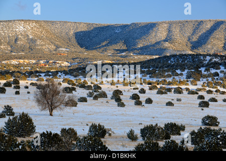 Une mince couche de neige dans le Cibola National Forest, près de Mountainair, New Mexico, USA Banque D'Images