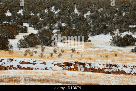 Une mince couche de neige dans le Cibola National Forest, près de Mountainair, New Mexico, USA Banque D'Images