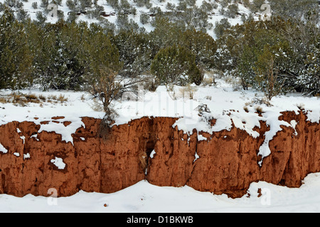 Une mince couche de neige dans le Cibola National Forest, près de Mountainair, New Mexico, USA Banque D'Images