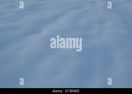 Snow Angleterre Somerset Banque D'Images