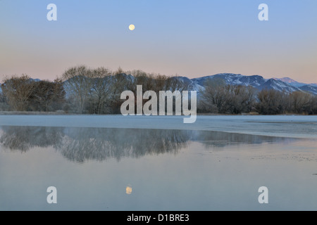 Étang recouvert de glace avec matin givre et l'établissement moon, NWR Bosque del Apache, New Mexico, USA Banque D'Images