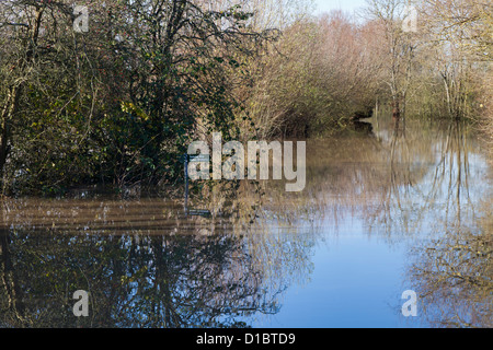 Les inondations par la rivière Severn - 29 novembre 2012 - La façon Sabrina le long de la Combe Hill submergées du canal, Gloucestershire, Royaume-Uni Banque D'Images